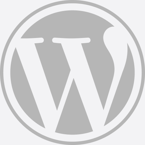 custom wordpress development services